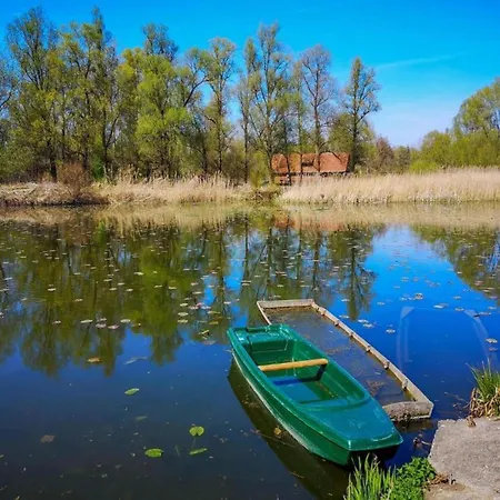 公寓 Near Sakarun Dugi Otok 韦利拉特