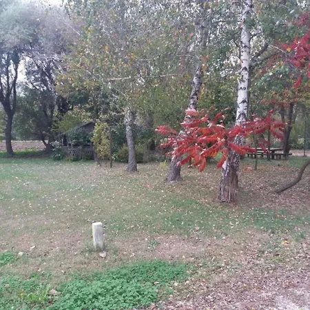Near Sakarun Dugi Otok 公寓