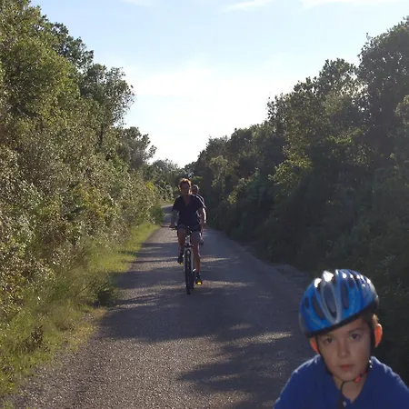 Apartment Near Sakarun Dugi Otok *