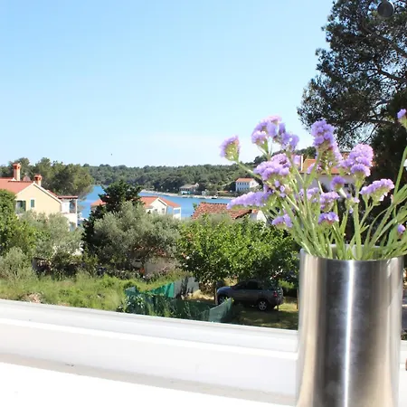 Near Sakarun Dugi Otok Veli Rat