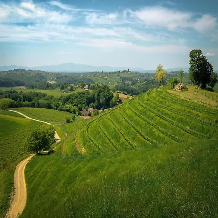Apartment Near Sakarun Dugi Otok