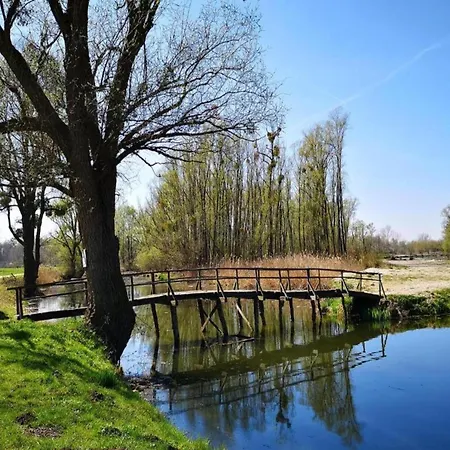 Near Sakarun Dugi Otok Apartment *