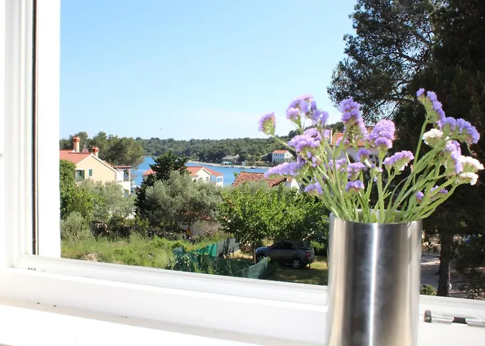Near Sakarun Dugi Otok Veli Rat